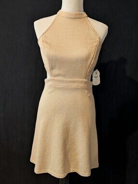 NWT Altar'd State Gold Dress